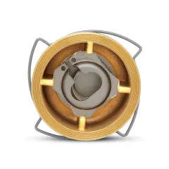 Unox Brass Disc Check Valve