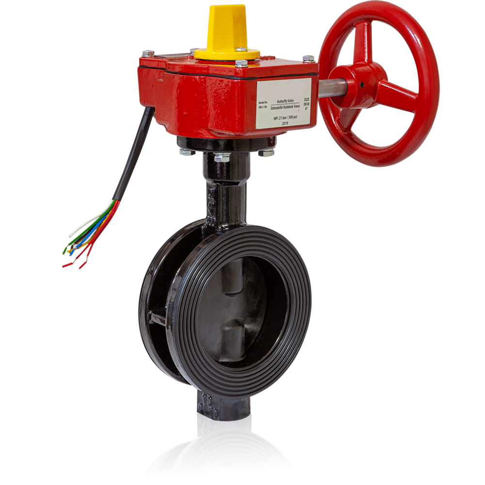 İzlenebilir Kelebek Vana