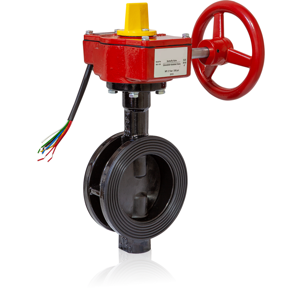 İzlenebilir Kelebek Vana