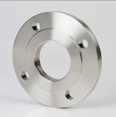 Stainless Steel Flat Flange