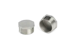 Stainless Steel Male Threaded Blind Cap