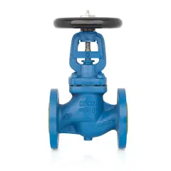 Straight Pattern Globe Valve