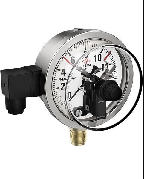 Pakkens Bottom Connection Dry Type Single Contact CL1 Normally Closed Pressure Gauge Q100 160 BAR