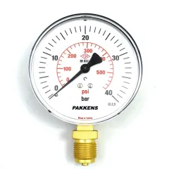 Pakkens Bottom Connection Dry Type CL1 Pressure Gauge Q160 40 Bar