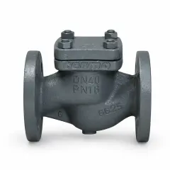 Spring Loaded Check Valve, PN 16 GG25, Flanged