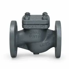 Termo Yaylı Çekvalf, PN 16 GG25, Flanşlı