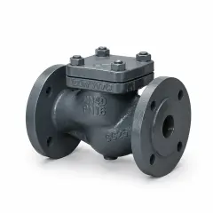 Spring Loaded Check Valve, PN 16 GG25, Flanged