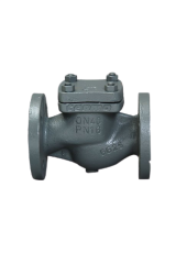 Termo Yaylı Çekvalf, PN 16 GG25, Flanşlı