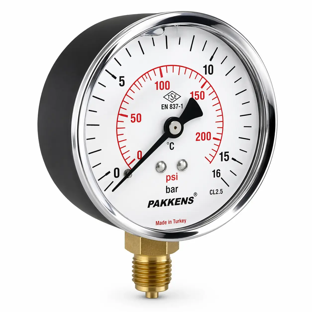 Pakkens Ø100 Bottom Connection Dry Type Pressure Gauge