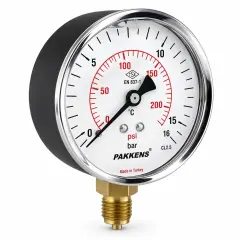 Pakkens Ø100 Bottom Connection Dry Type Pressure Gauge 6 BAR